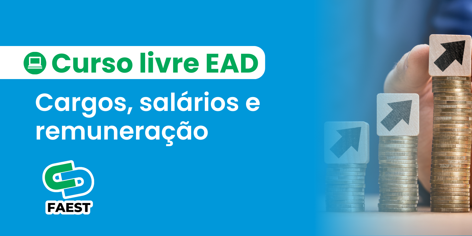 CARGOS, SALÁRIOS E REMUNERAÇÃO