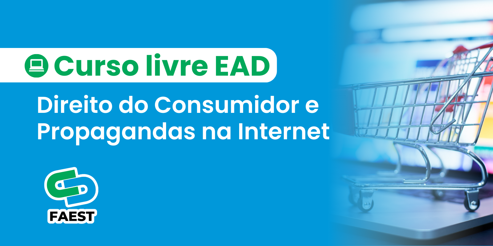 DIREITO DO CONSUMIDOR E PROPAGANDAS NA INTERNET 